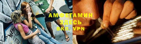 прущие грибы Белокуриха