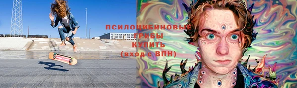 прущие грибы Белокуриха