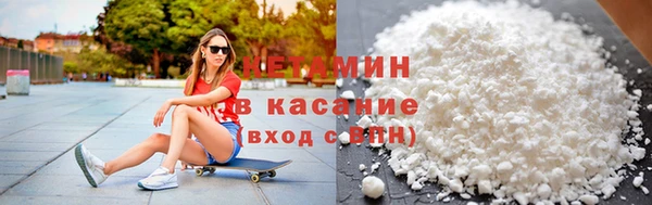 прущие грибы Белокуриха
