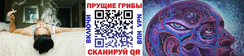 Галлюциногенные грибы MAGIC MUSHROOMS  Мичуринск 