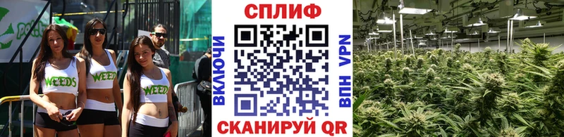 Канабис Amnesia  Мичуринск 
